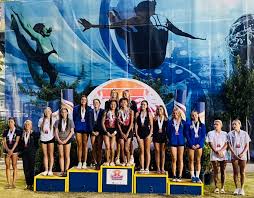 Image result for 3D Diving Club