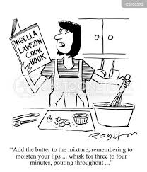 Image result for nigella whisk