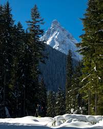 Image result for Birkenhead Sc