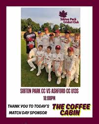 Image result for Sibton Park Cricket Club