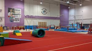Image result for South Essex Gymnastics Club
