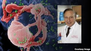 Image result for фотография вируса вич