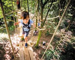 Image result for Go Ape! Leeds Castle