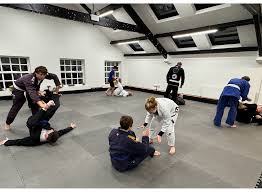 Image result for Didcot Judo and Karate Club