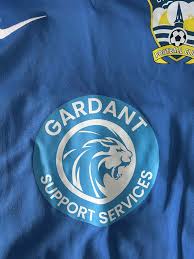 Image result for Braunton Football Club