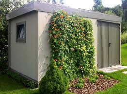 Image result for schwarzäugige Susanne