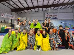 Image result for Hull High Flyers Gymnastics Club