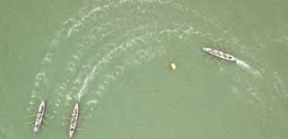 Image result for Appledore Pilot Gig Club