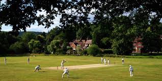 Image result for Abinger Sports Club