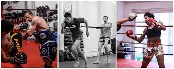 Image result for Muay Thai Clubs