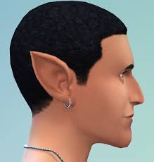 Image result for ear mod