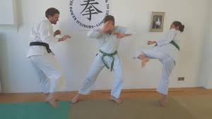 Image result for Southampton University Shorinji Kempo Club