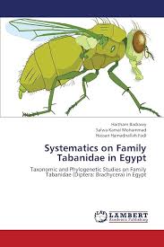 Attēlu rezultāti vaicājumam “Tabanidae”