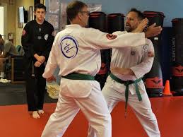 Image result for Worthington Martial Arts Institute