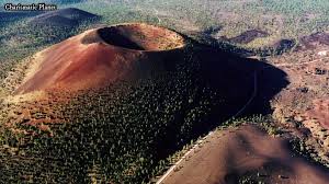 Attēlu rezultāti vaicājumam “Craterium sp.”