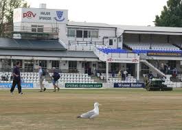 Image result for Sussex County Cricket Club