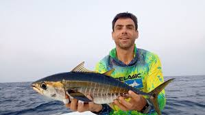 Image result for Thunnus atlanticus