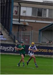 Image result for Sarsfields Hurling Club