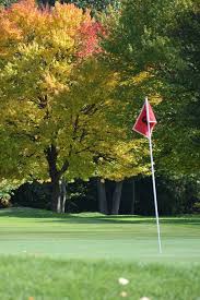 Image result for Berkshire Bantams Floorball Club