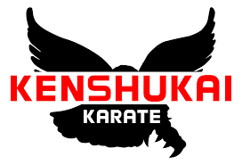 Image result for Kenshukai Karate
