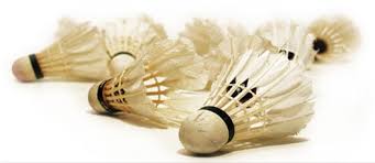 Image result for Horncastle Badminton Club