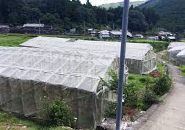 Image result for 4870315629土井