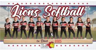 Image result for Lions Softball Club