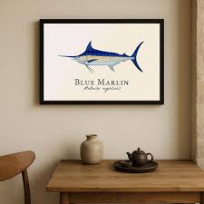 Image result for Makaira nigricans