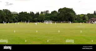 Image result for Frimley Cricket Club