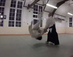 Image result for Goryukai Aikido Yoshinkan (Chichester)