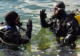 Image result for Banbury Sub Aqua Club