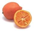 Cook's Thesaurus: Citrus Fruit