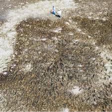 Image result for Delphi Bowls Club