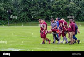 Image result for Ipswich Cardinals American Football Club