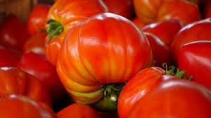 Afbeeldingsresultaat voor marmande jaune tomato