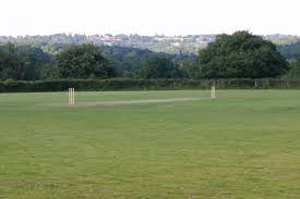 Image result for Swyncombe Cricket Club