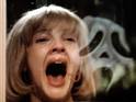 then titled Scary Movie,