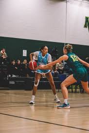 Image result for Nottingham Wildcats