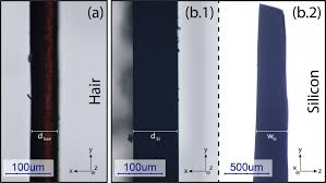 Image result for human hair microscope image