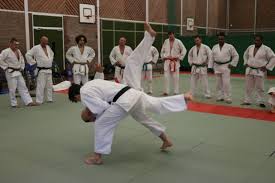 Image result for Worthing judo club