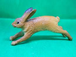 Attēlu rezultāti vaicājumam “Lepus sp.”