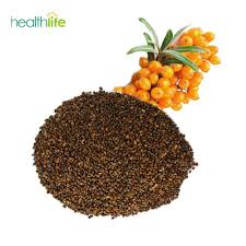 Attēlu rezultāti vaicājumam “Hippophae rhamnoides fruit”