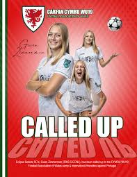 Image result for Fm Eclipse Netball Club