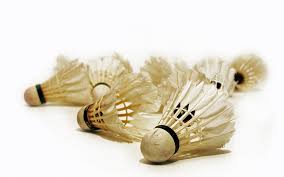 Image result for Glevering Badminton Club