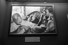 Image result for агент оранж