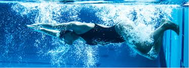 Image result for Ledbury & District Amateur Swimming Club