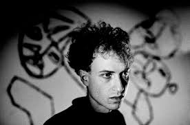 Attēlu rezultāti vaicājumam “Didymium minus young”