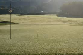 Image result for Largs Golf Club