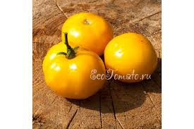 Afbeeldingsresultaat voor marmande jaune tomato