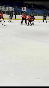 Image result for Telford Junior Ice Hockey Club
